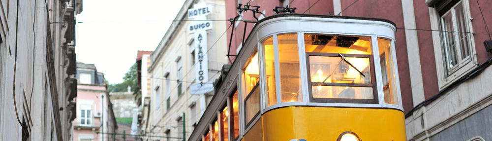 Thomas McCoy Consulting